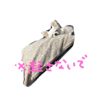 おもも（個別スタンプ：7）