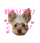 可愛いチョコさん（個別スタンプ：5）