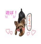 可愛いチョコさん（個別スタンプ：13）