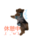 可愛いチョコさん（個別スタンプ：16）