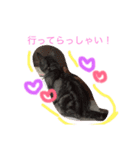catr（個別スタンプ：6）
