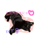 catr（個別スタンプ：8）