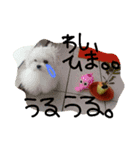 ゆいぽよさーん（個別スタンプ：1）