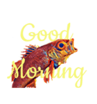 Greeting fish（個別スタンプ：1）