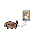 My Brother's pig with Puppy Hanji（個別スタンプ：5）
