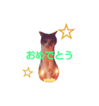 猫ののんたん（個別スタンプ：14）