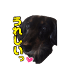 MAX001（個別スタンプ：1）