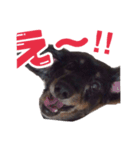 MAX001（個別スタンプ：5）