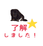 MAX001（個別スタンプ：12）