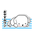 白い犬ボーダー（個別スタンプ：2）