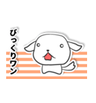 白い犬ボーダー（個別スタンプ：12）