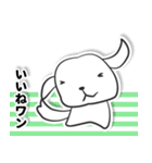 白い犬ボーダー（個別スタンプ：13）