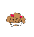 赤いリボンのプードル（個別スタンプ：21）
