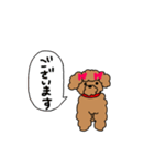 赤いリボンのプードル（個別スタンプ：24）