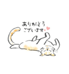 わりと便利な猫スタンプ（個別スタンプ：4）