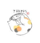 わりと便利な猫スタンプ（個別スタンプ：5）