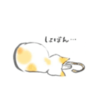 わりと便利な猫スタンプ（個別スタンプ：8）