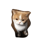 猫 モチ（個別スタンプ：21）