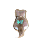 猫 モチ（個別スタンプ：31）