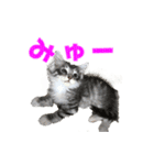 ゴージャスな猫のつぶやき5（個別スタンプ：39）