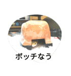 ひょうもんとかげもどきのスタンプです。（個別スタンプ：4）
