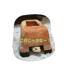 ひょうもんとかげもどきのスタンプです。（個別スタンプ：6）