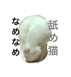 ぶらんくん02（個別スタンプ：5）