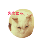 ぶらんくん02（個別スタンプ：7）