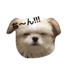 スウィートデビル（個別スタンプ：12）
