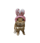 うさぎ love（個別スタンプ：2）