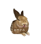 うさぎ love（個別スタンプ：5）