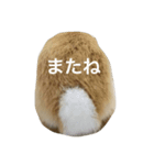 うさぎ love（個別スタンプ：6）