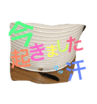 ねこのはるです 3〜会話ver〜（個別スタンプ：9）