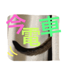 ねこのはるです 3〜会話ver〜（個別スタンプ：14）