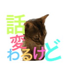 ねこのはるです 3〜会話ver〜（個別スタンプ：23）