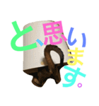 ねこのはるです 3〜会話ver〜（個別スタンプ：40）