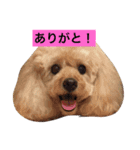 くう姫（個別スタンプ：1）