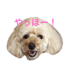 くう姫（個別スタンプ：2）