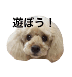 くう姫（個別スタンプ：3）