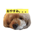 くう姫（個別スタンプ：10）