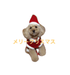 くう姫（個別スタンプ：15）