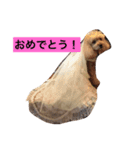 くう姫（個別スタンプ：16）
