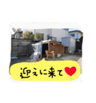 しば犬ランくん（個別スタンプ：31）