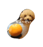 赤ちゃんうめこ（個別スタンプ：8）