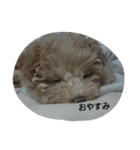 赤ちゃんうめこ（個別スタンプ：9）