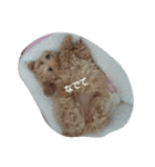 赤ちゃんうめこ（個別スタンプ：10）