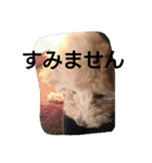 赤ちゃんうめこ（個別スタンプ：11）