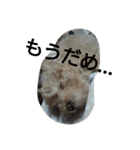 赤ちゃんうめこ（個別スタンプ：12）
