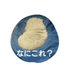 赤ちゃんうめこ（個別スタンプ：13）