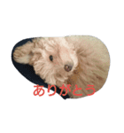赤ちゃんうめこ（個別スタンプ：16）